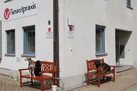 Die neue Tierpraxis Dr. Hornig und Schroff